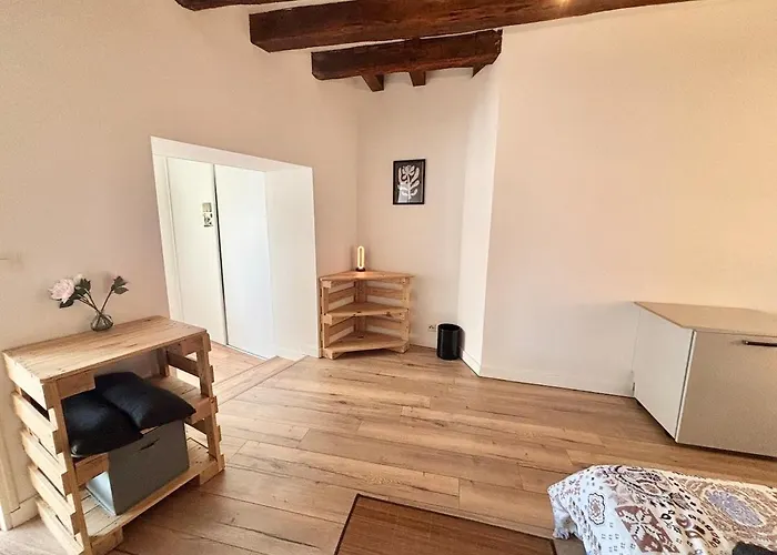 Vue Château&mayenne - Centre Historique - 6 Personnes Laval (Mayenne)