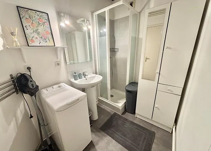 Appartement Vue Château&mayenne - Centre Historique - 6 Personnes *