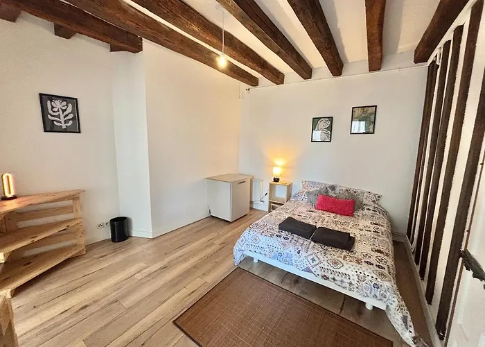 Vue Château&mayenne - Centre Historique - 6 Personnes Laval (Mayenne)