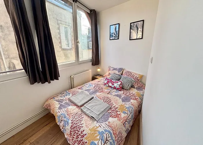 Vue Château&mayenne - Centre Historique - 6 Personnes